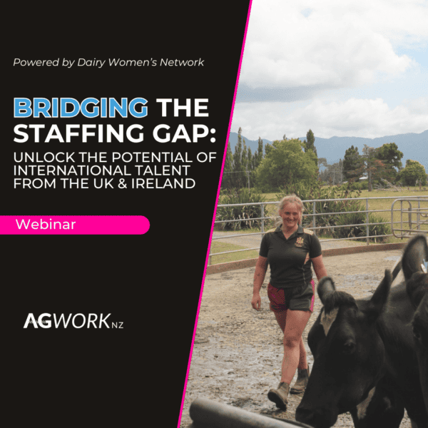 Bridging the Staffing Gap